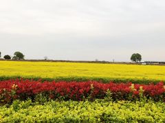 -湖山人家·湖景餐厅·特色农家菜(太湖西山店)