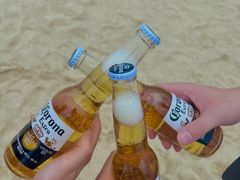 -西涌国际滨海旅游区