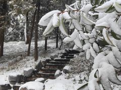 -莲花池公园