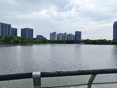 -南翔镇银翔湖公园