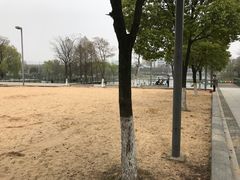-尚贤河湿地