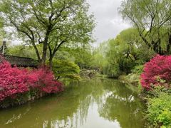 -上海醉白池公园