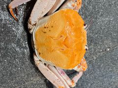 -青蓬蒸汽海鲜·深圳老字号·团建聚会(壹方城店)