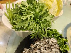 -阳坊胜利涮羊肉(阳坊老店)