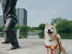 -杭州城北体育公园