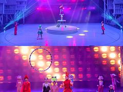 -重庆国际马戏城