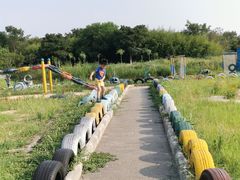 -中国扬子鳄村