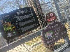 -横道河子东北虎林园