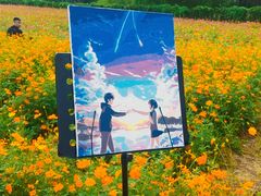 -长广溪湿地公园