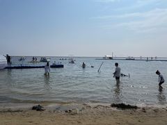 -碧海金沙