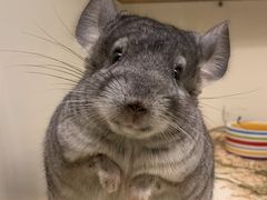 -龙猫仔乐园(惠福东路店)