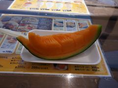 -富田农场