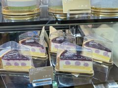 -哈根达斯(深圳海岸城店)