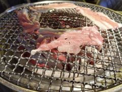 -樱嘢·炭火烧肉(惠南店)