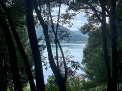 -广州市流溪河国家森林公园