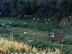 -秦岭风景区