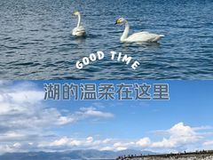 -青海湖国家重点风景名胜区