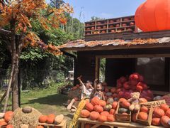 -HERRE·FARM 赫尔露营农场·团建聚会包场