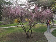 -辽宁大学(崇山校区)