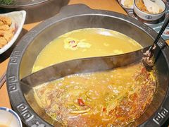 -菌彩云南野生菌火锅(万达广场店)