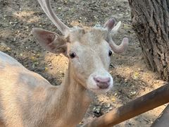 -南戴河国际娱乐中心