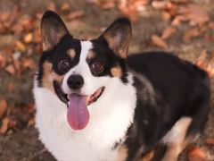 -济南国际园博园