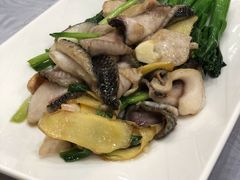 葱姜炒生鱼片-粤·向群饭店(龙津东路总店)
