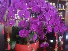 -全聚德烤鸭店(马家堡店)