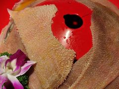 -二荆条·蜀鲜汇城市森林火锅