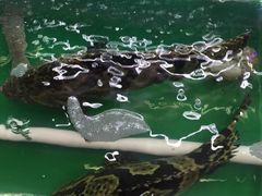 长青路覃记海鲜-覃记海鲜美食餐厅