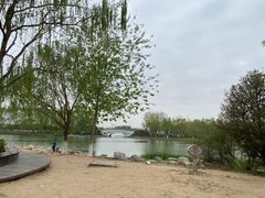 -大兴滨河森林公园