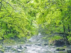 -长白山万达国际度假区