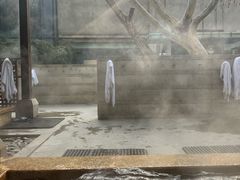 -春晖园度假酒店温泉