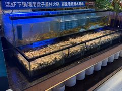 -海吃海喝海鲜烤肉炭火主题自助餐(朝阳店)