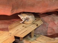 -Zoolung Zoolung动物主题公园(海信广场店)