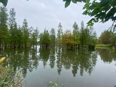 -白鹭湾湿地公园