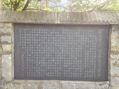 景点-东林大峡谷