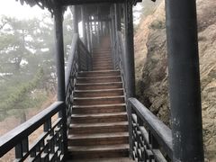 -石老人观光园