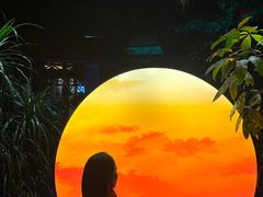 -扬之阿李菌汤火锅(1969店)