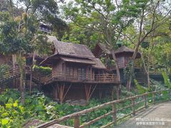 -海南槟榔谷黎苗文化旅游区