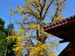 -金堂县云顶石城风景区