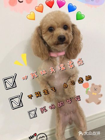 怎么会有这么可爱的狗子 都说是通灵的 有时候发现