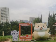 -青藏高原野生动物园