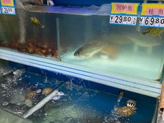 -奥士凯物美(新兴里店)