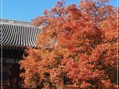 -香山公园