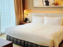 -上海浦东康桥绿地假日酒店