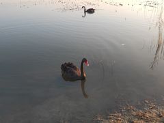 -天津东丽湖风景区