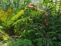 -国家植物园南园