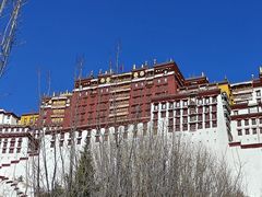 -布达拉宫