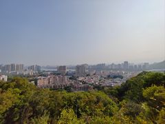 -福道